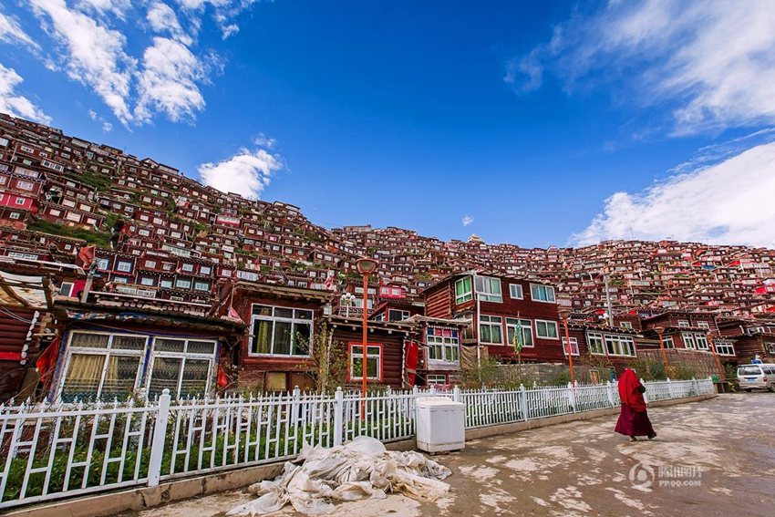 ??? ?? ?? ??? ??? ??? ?? ???