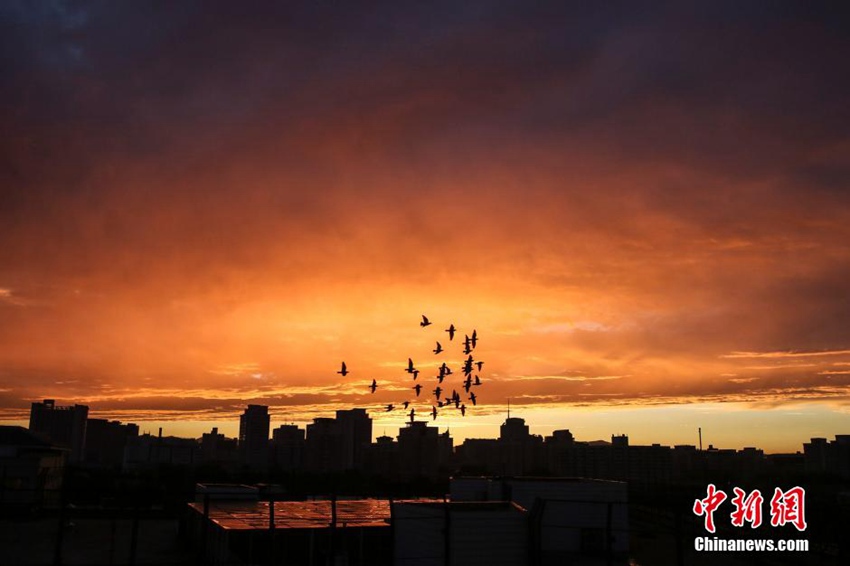 ???? ??? ??? ?, ???? ?? ?? ??