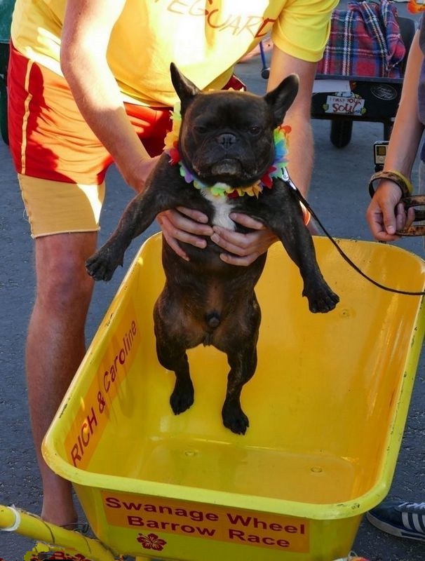 英 ‘?? ???? ????? ??’, ?? ?? ??