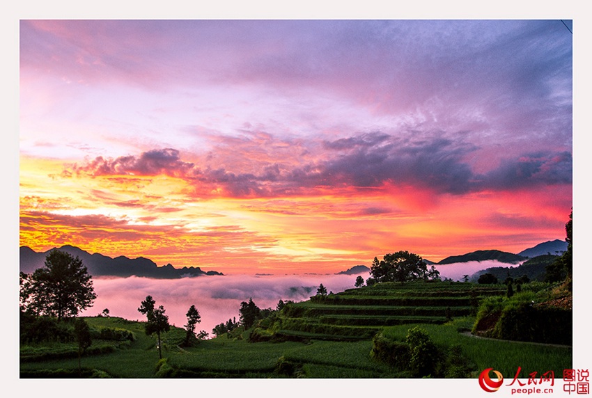 ??? ??…?? ??? ??? ??? ??