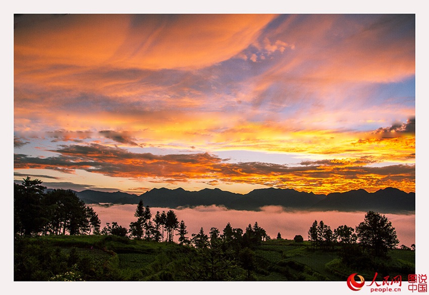 ??? ??…?? ??? ??? ??? ??