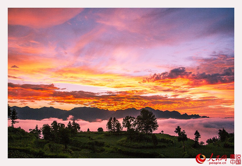 ??? ??…?? ??? ??? ??? ??