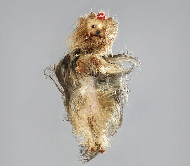 ??? ???? ?? ??, ??? ?? ‘??’