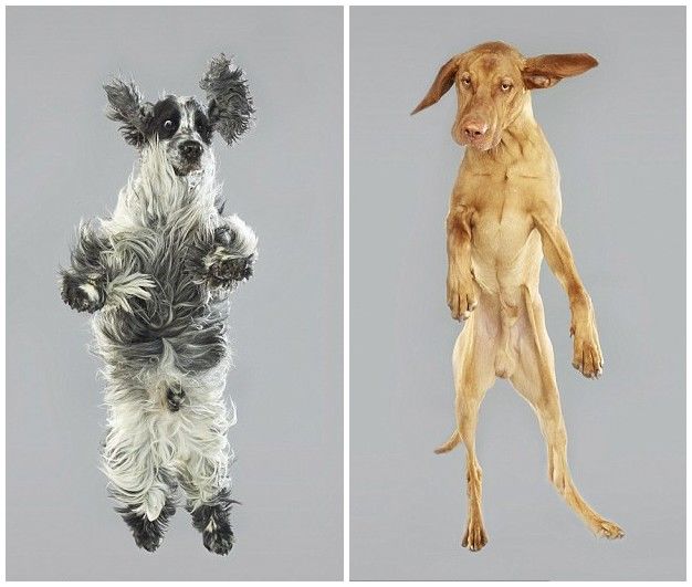 ??? ???? ?? ??, ??? ?? ‘??’