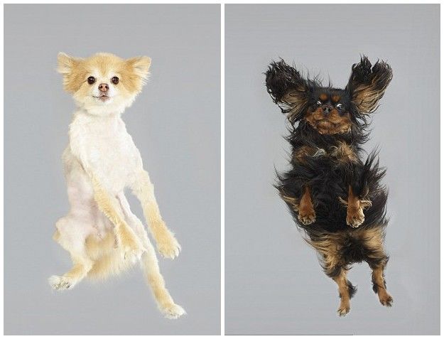 ??? ???? ?? ??, ??? ?? ‘??’