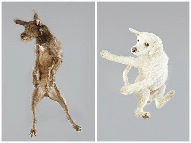 ??? ???? ?? ??, ??? ?? ‘??’