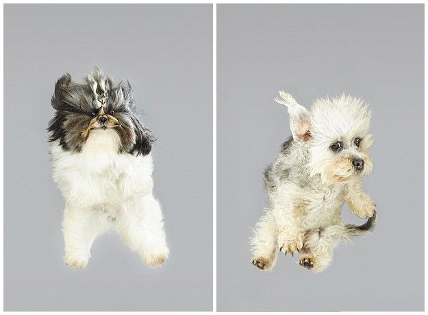 ??? ???? ?? ??, ??? ?? ‘??’