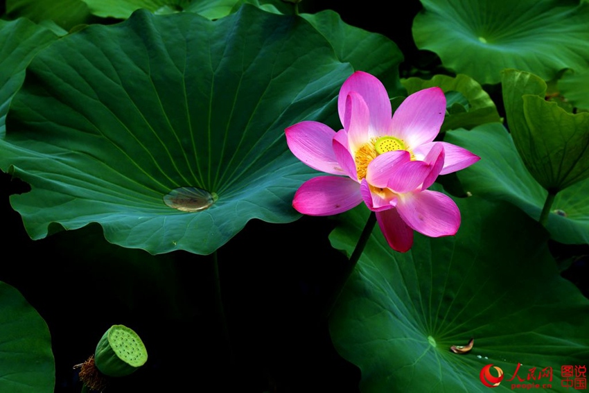 ????? ?? ?? ??…?? ??? ?? ??