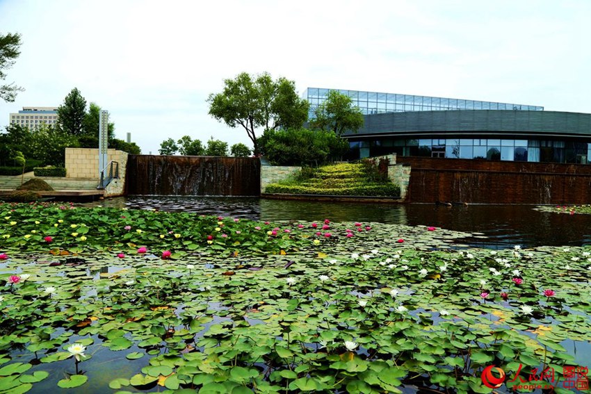 ????? ?? ?? ??…?? ??? ?? ??