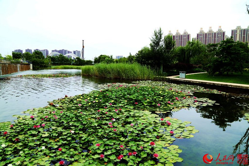 ????? ?? ?? ??…?? ??? ?? ??