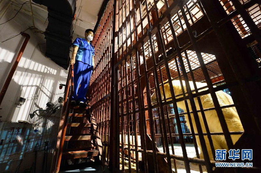 ???? ?? ??? ???? ??? ??? ???