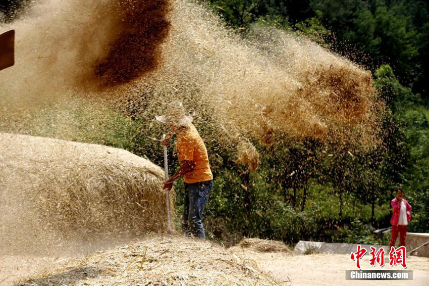 ?? ????? ?? ???? ?? ‘?? ??’