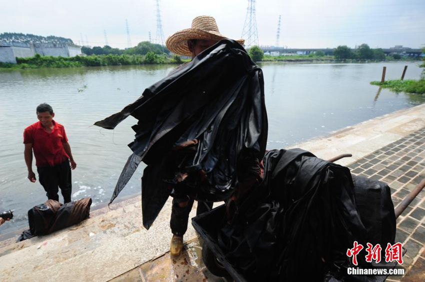 ??? ?????, ?? ??? ?? ??