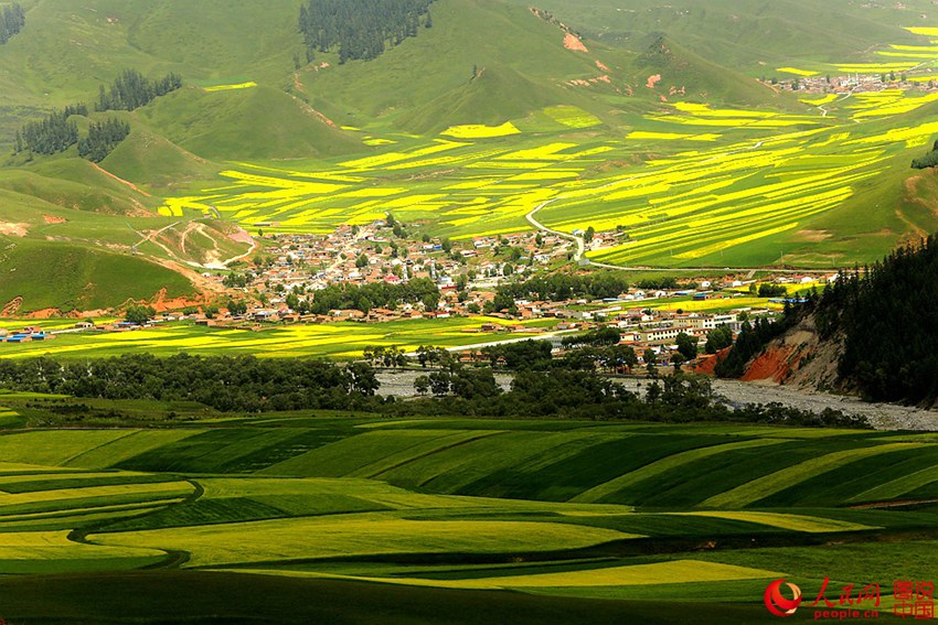 ???? ?? ??? ?? ??? ???? ??