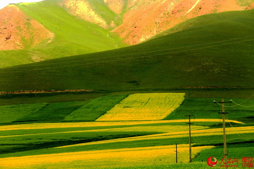 ???? ?? ??? ?? ??? ???? ??