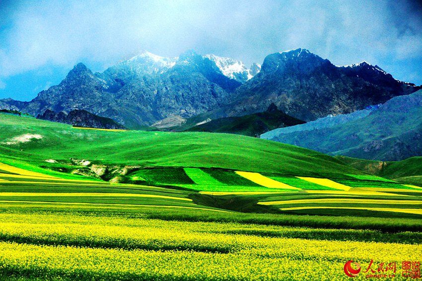 ???? ?? ??? ?? ??? ???? ??