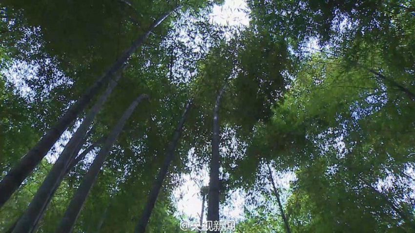 ??, ??? ?? ‘?? ???? ??’ ??