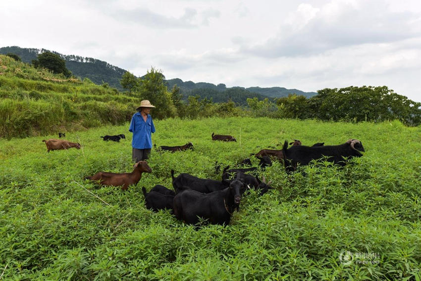 ? ?? ? ??? ?? ??? ??