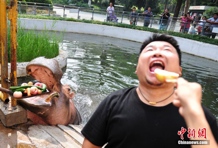 ?? ??? ???, ???? ?? ?? ??? ?? ??