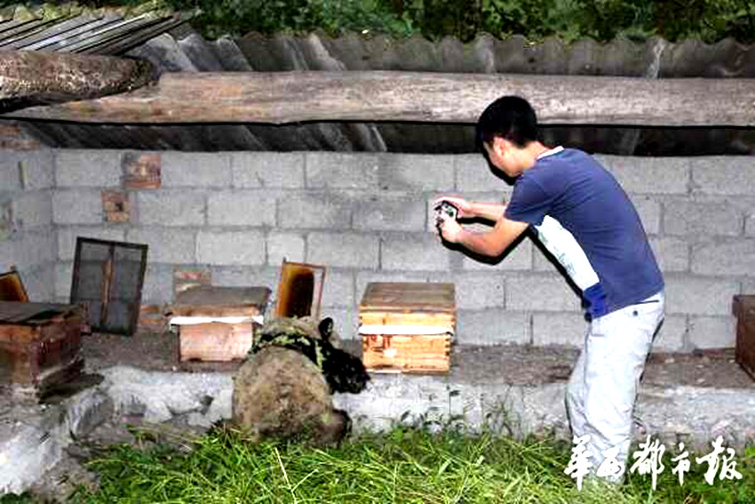 ?? ‘???’ ????, ?? 10? ?? ????