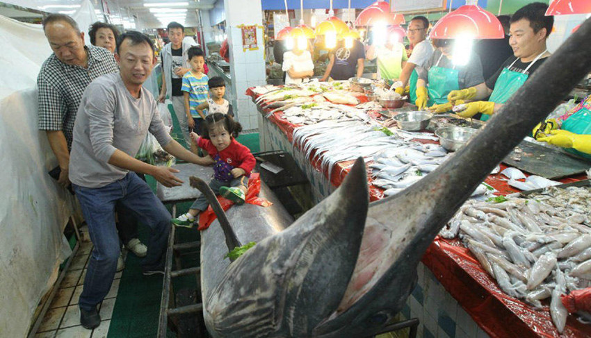 ??? ??, 310kg ??? ??? ?? ??? ??