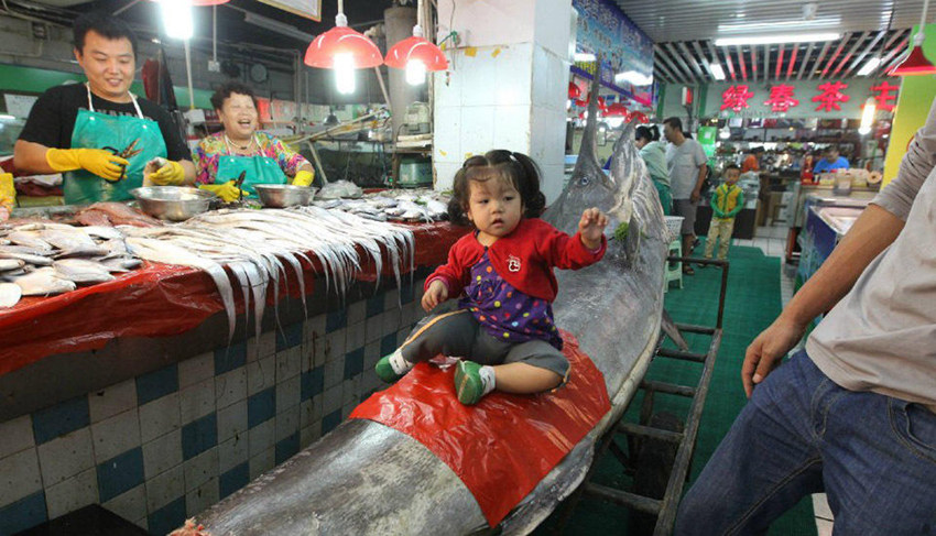 ??? ??, 310kg ??? ??? ?? ??? ??