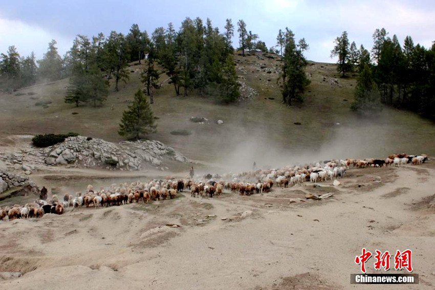 ?? ?? ???? ?? ???, ?? ?? ??