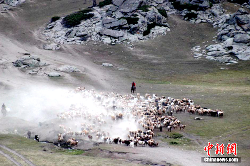 ?? ?? ???? ?? ???, ?? ?? ??