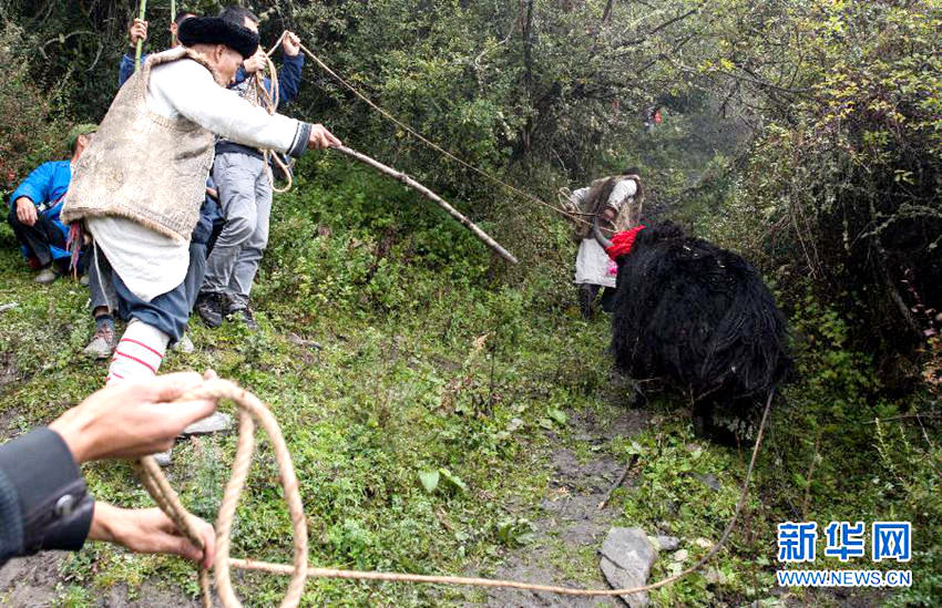 ?? ??? ?? ???? ‘???’