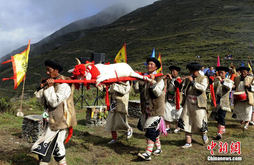 ?? ??? ?? ???? ‘???’