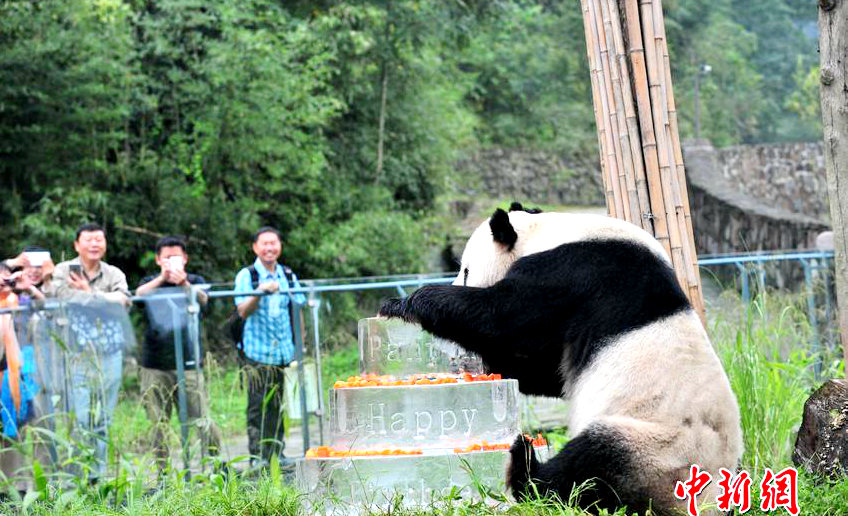 ?? ?? ?? ‘100?’ ?? ??, ??? 100? ??