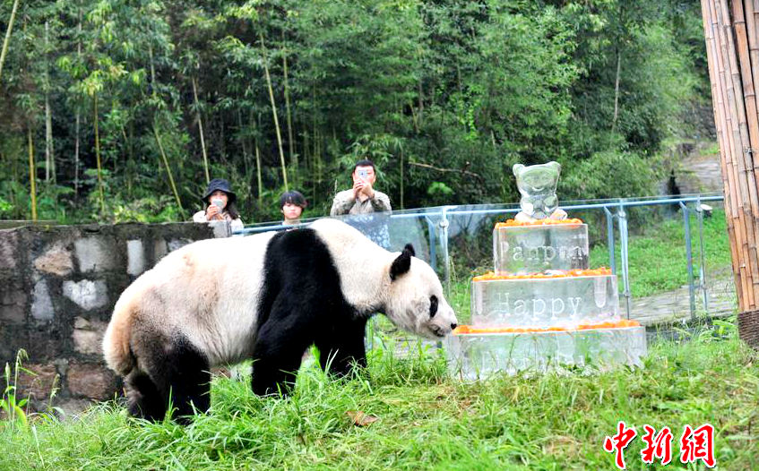 ?? ?? ?? ‘100?’ ?? ??, ??? 100? ??