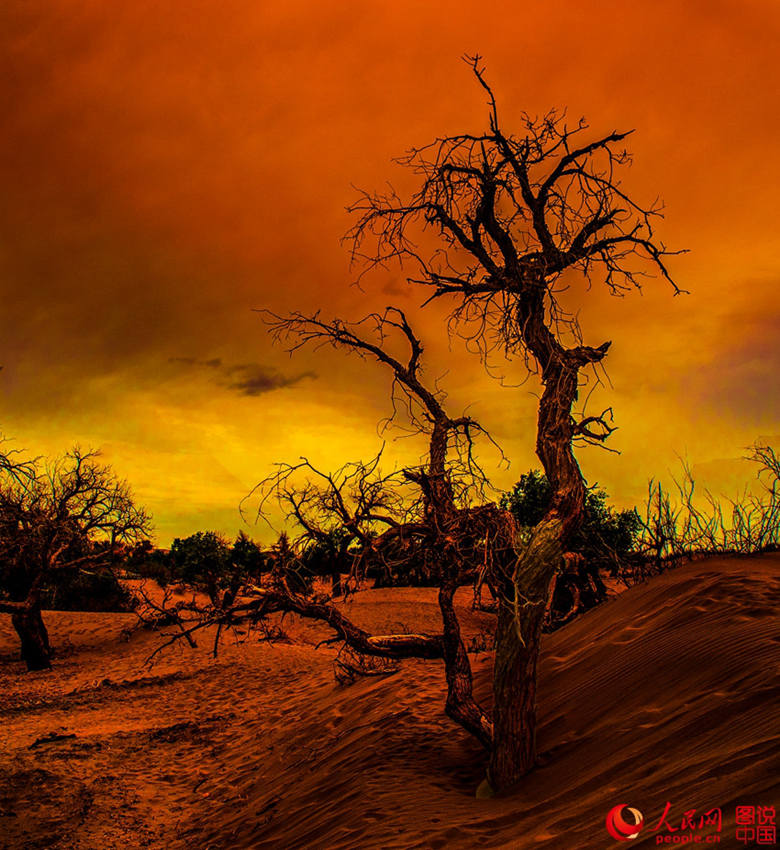 ???? 3000? ??? ??? ???, ??? ??