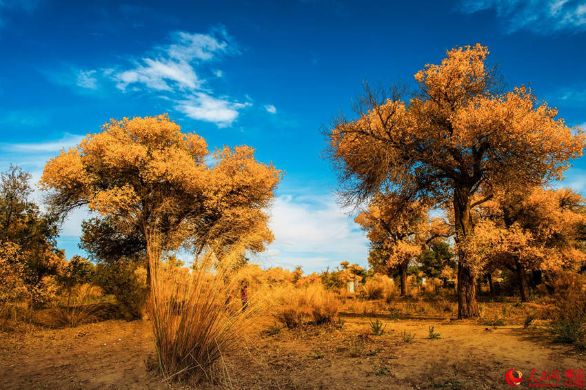 ???? 3000? ??? ??? ???, ??? ??