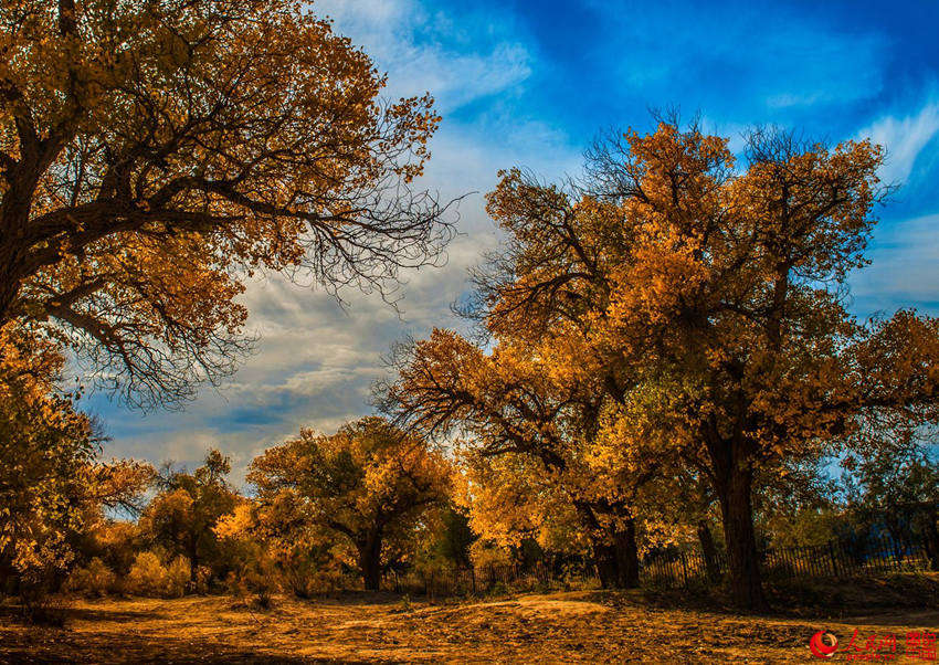 ???? 3000? ??? ??? ???, ??? ??