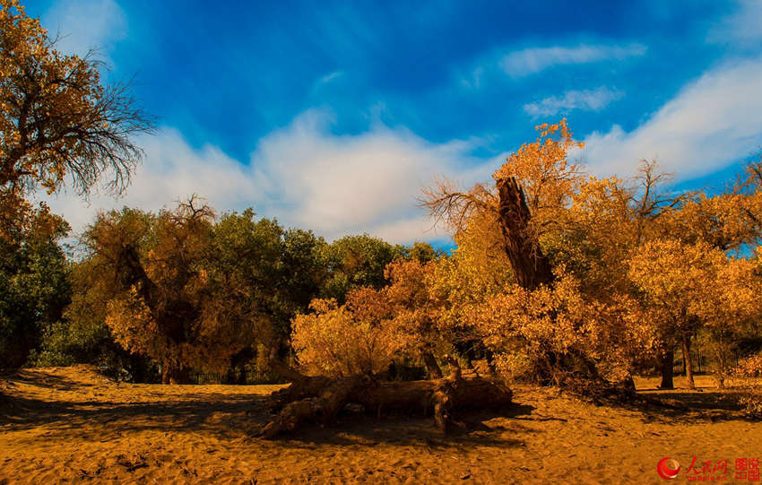 ???? 3000? ??? ??? ???, ??? ??