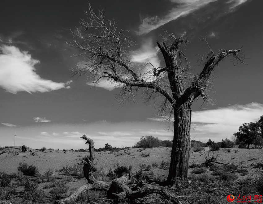 ???? 3000? ??? ??? ???, ??? ??