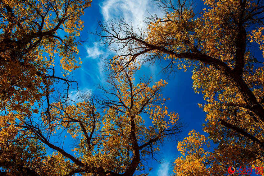 ???? 3000? ??? ??? ???, ??? ??