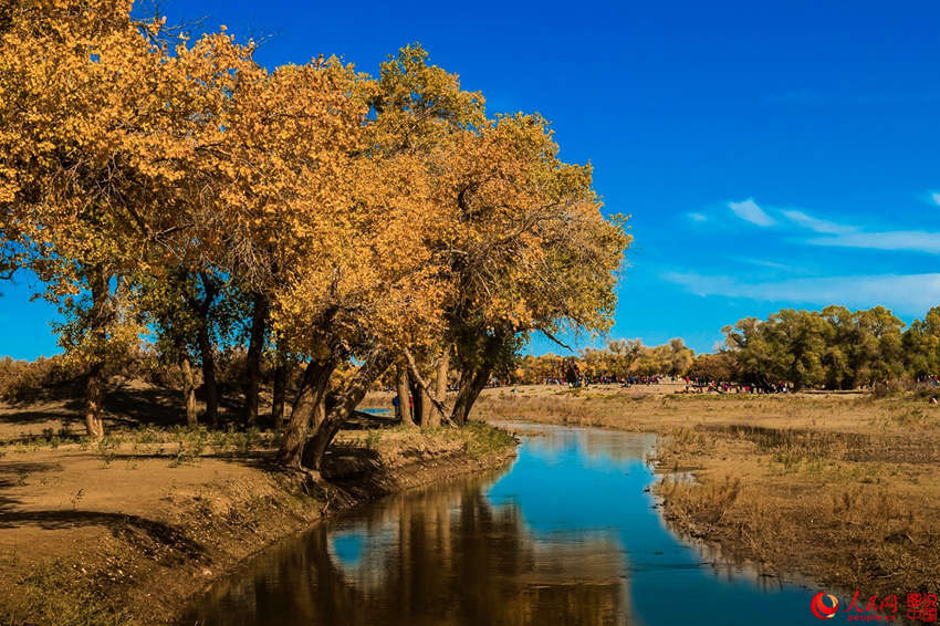 ???? 3000? ??? ??? ???, ??? ??