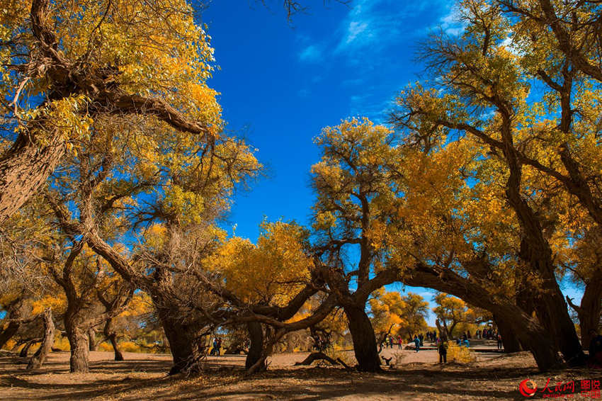 ???? 3000? ??? ??? ???, ??? ??