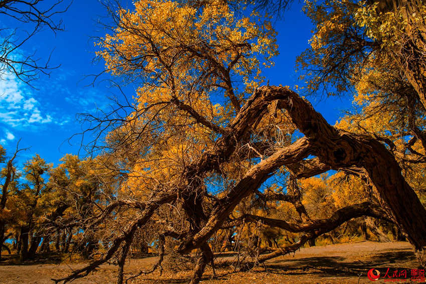 ???? 3000? ??? ??? ???, ??? ??