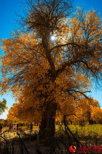 ???? 3000? ??? ??? ???, ??? ??