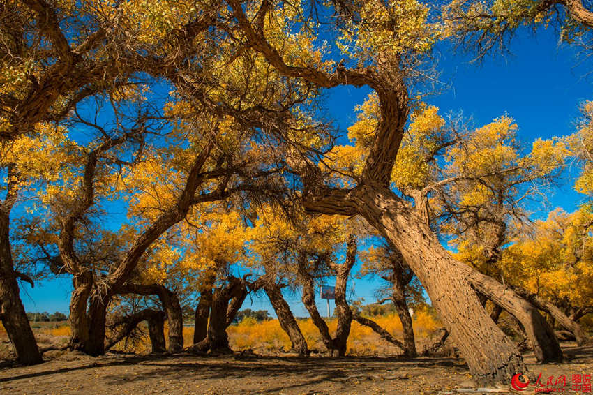 ???? 3000? ??? ??? ???, ??? ??