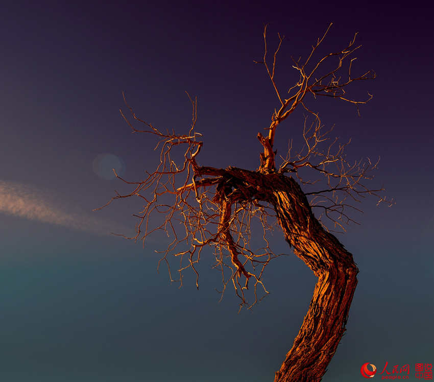 ???? 3000? ??? ??? ???, ??? ??