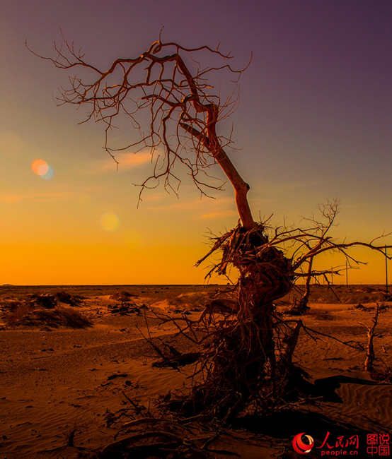 ???? 3000? ??? ??? ???, ??? ??