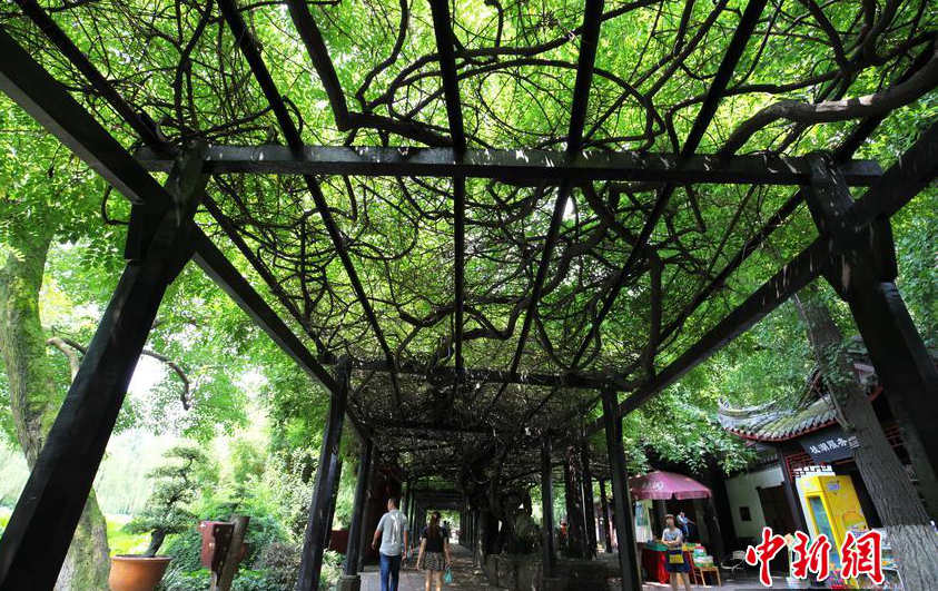 100? ? ??? 100m ?? ???, ??? ?? 500?