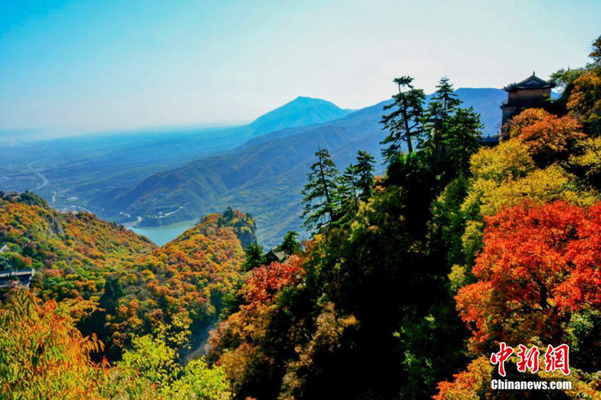 ??? ?? ?? ???, ?? ? '????' ?? ??