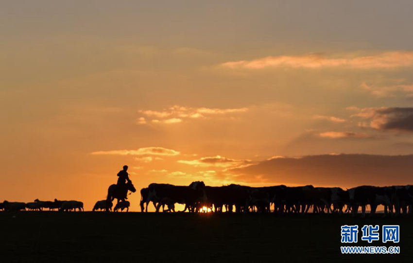 ?? ?? ?? ???? ????? ??