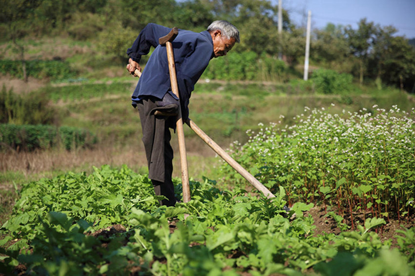 ?? ??? 72? ??, ?? ?? ??? ?? ??