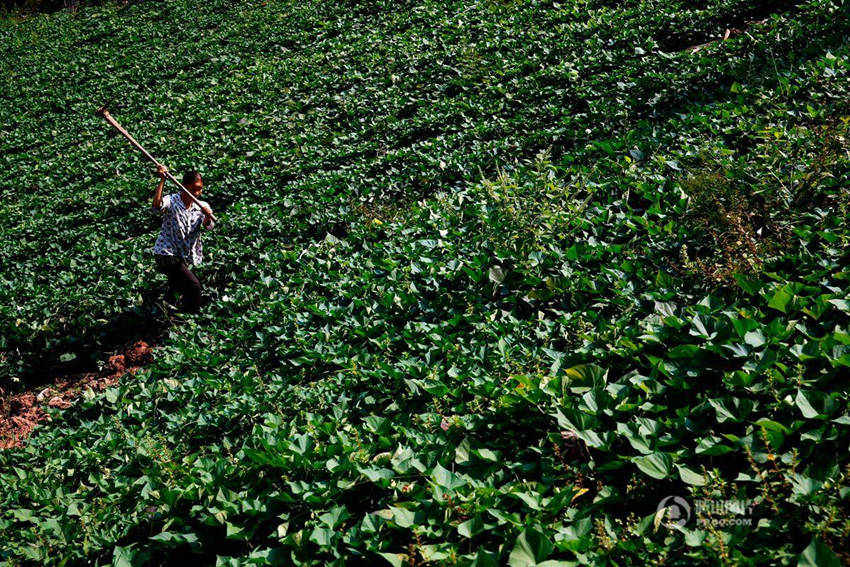 ?? ?? ??, 31?? ???? ??